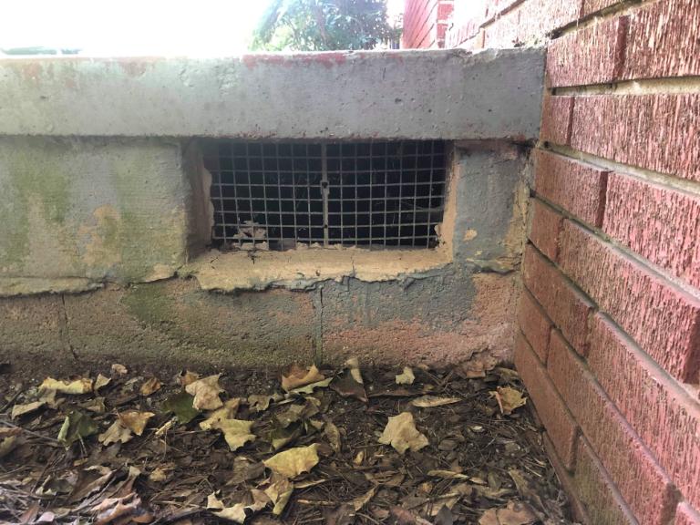 Before exclusion and repair