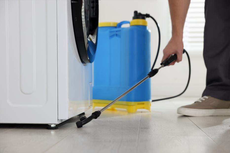 Large wasp nest removal by Critter Wranglers