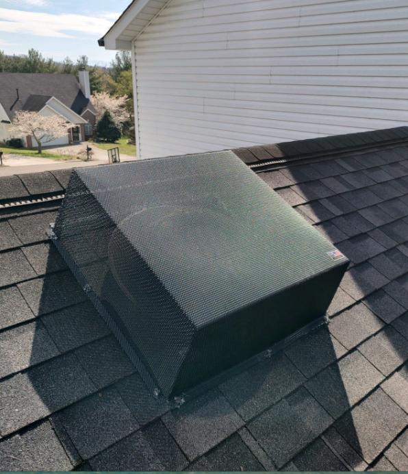 Critter Wranglers technician with service van