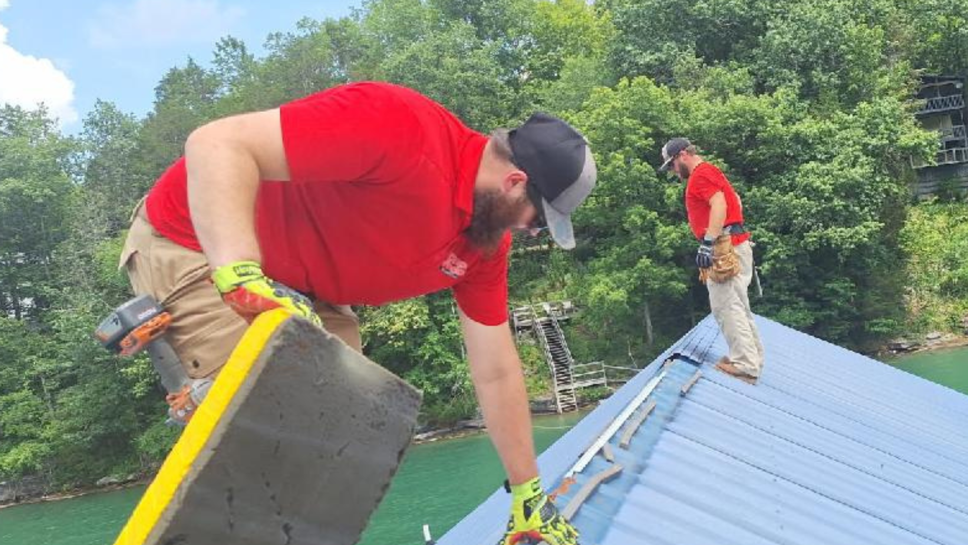 Pest Control & Wildlife Removal in Holston Hills, TN