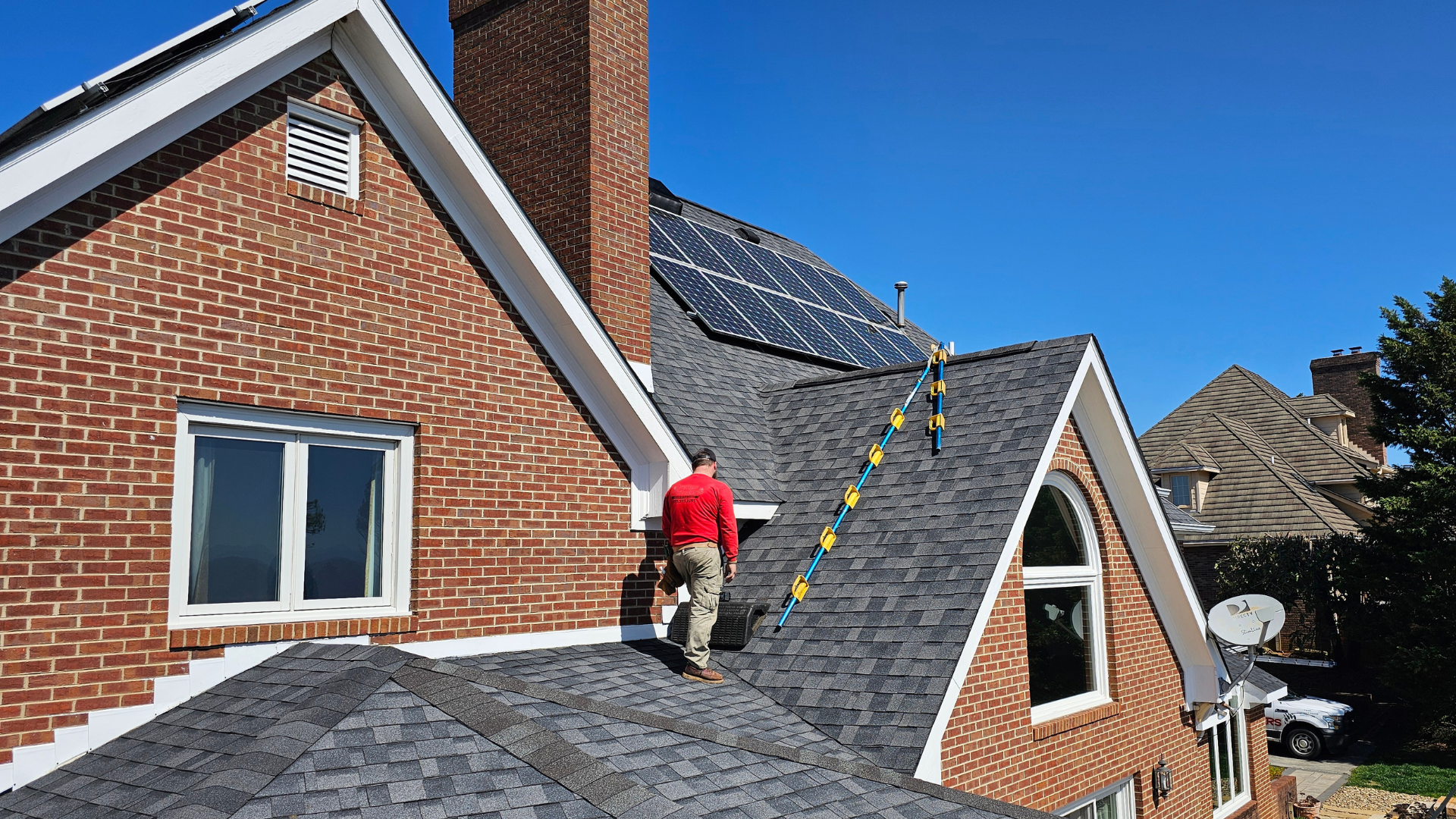 Pest Control & Wildlife Removal in LaFollette, TN