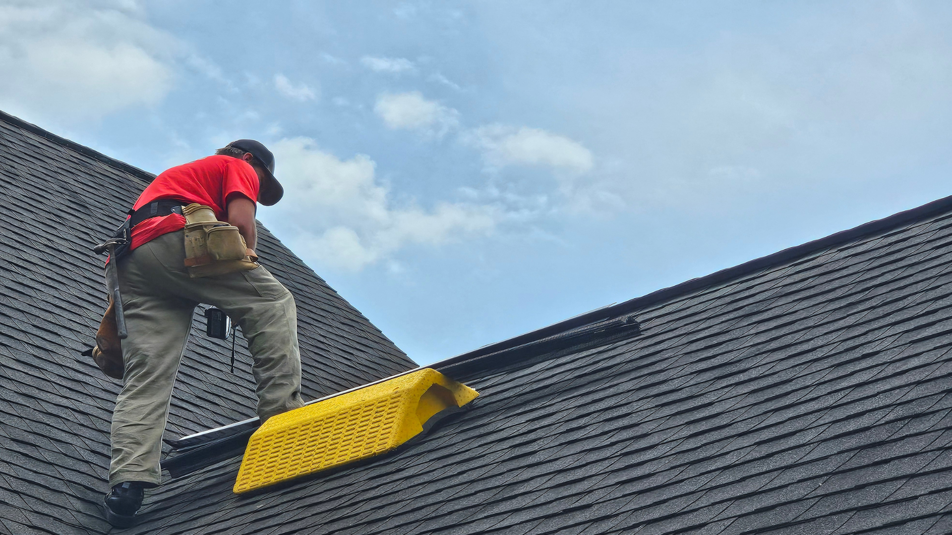 Pest Control & Wildlife Removal in Halls Crossroads, TN