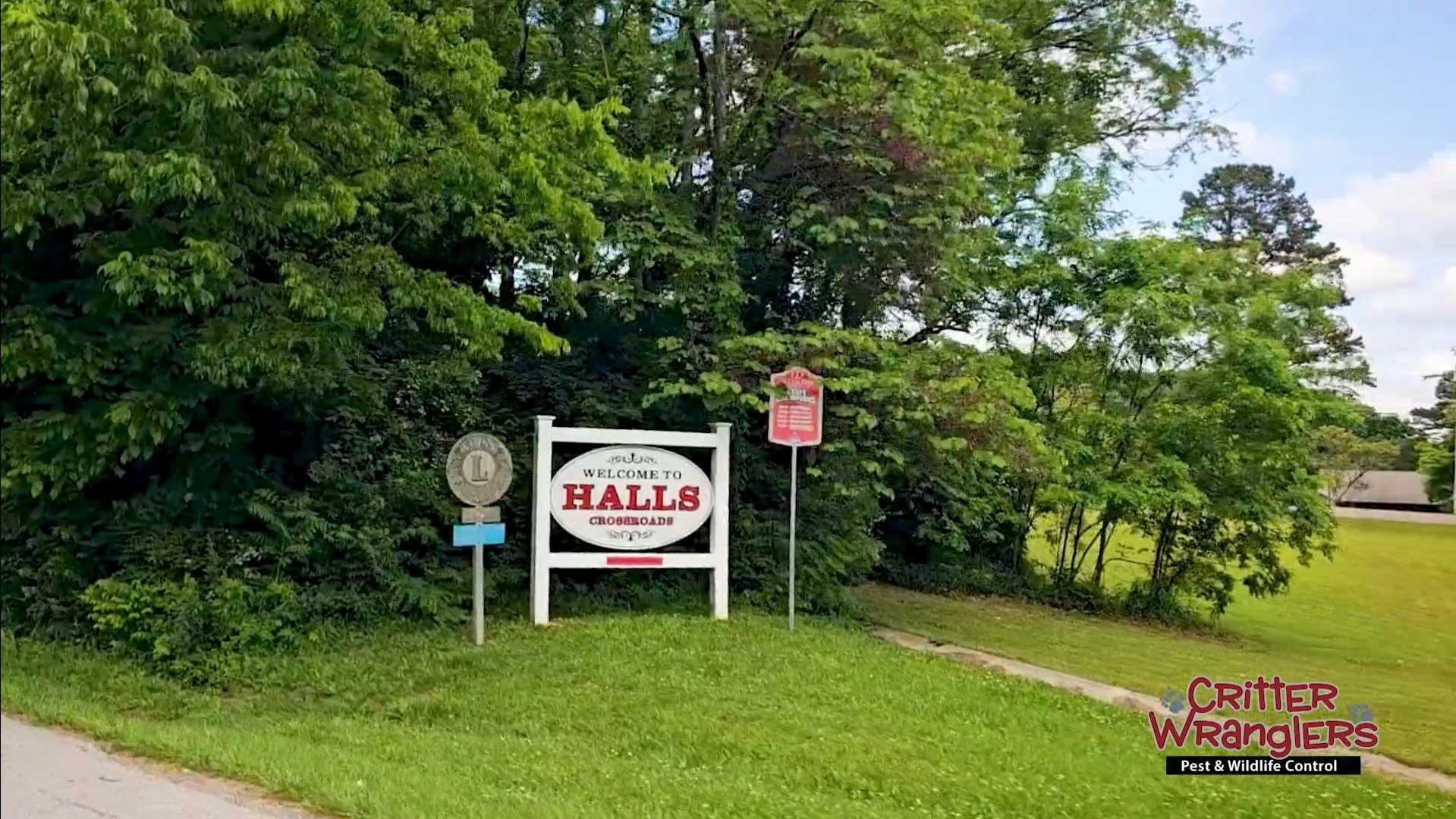 Pest Control & Wildlife Removal in Halls Crossroads, TN