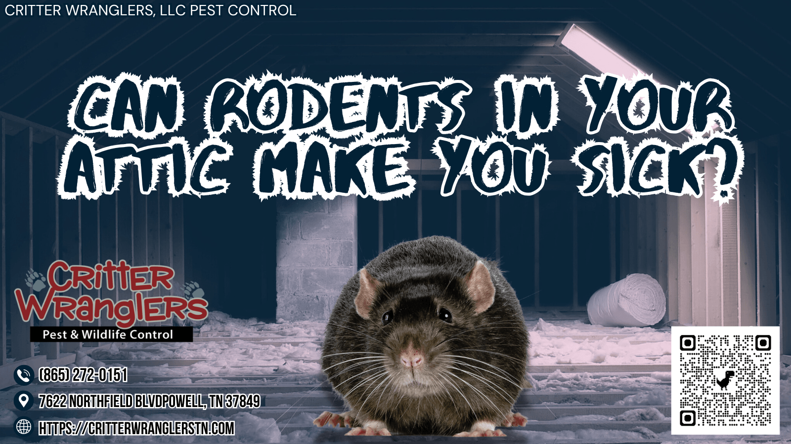 Can Rodents In Your Attic Make You Sick