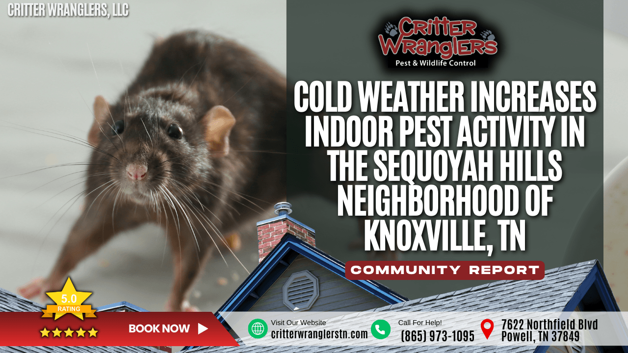 Cold Weather Increases Indoor Pest Activity in the Sequoyah Hills Neighborhood of Knoxville, TN