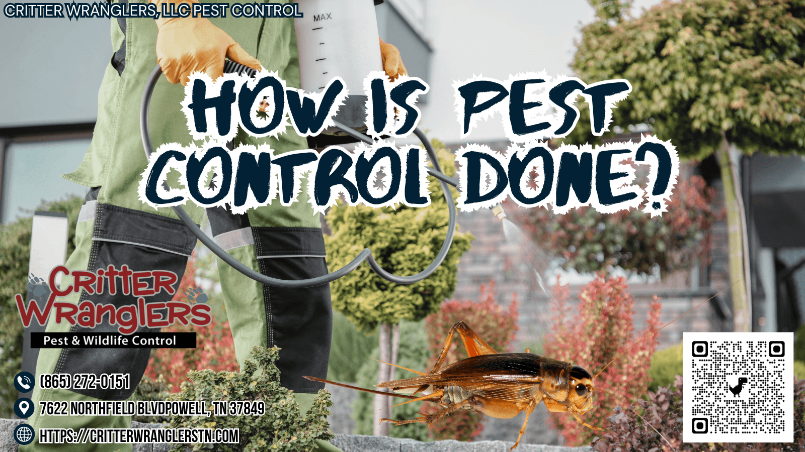 How Is Pest Control Done