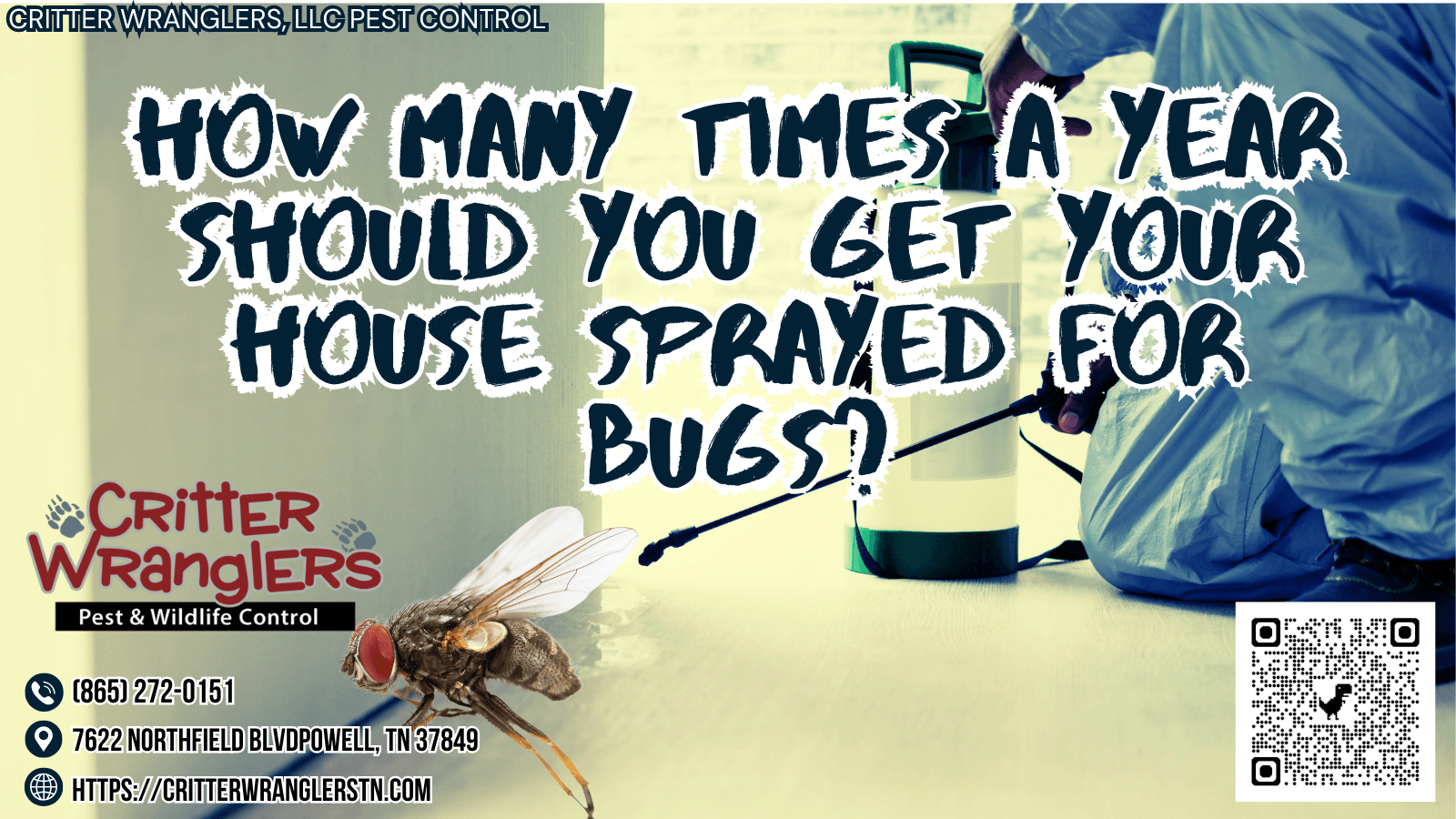How Many Times A Year Should You Get Your House Sprayed For Bugs