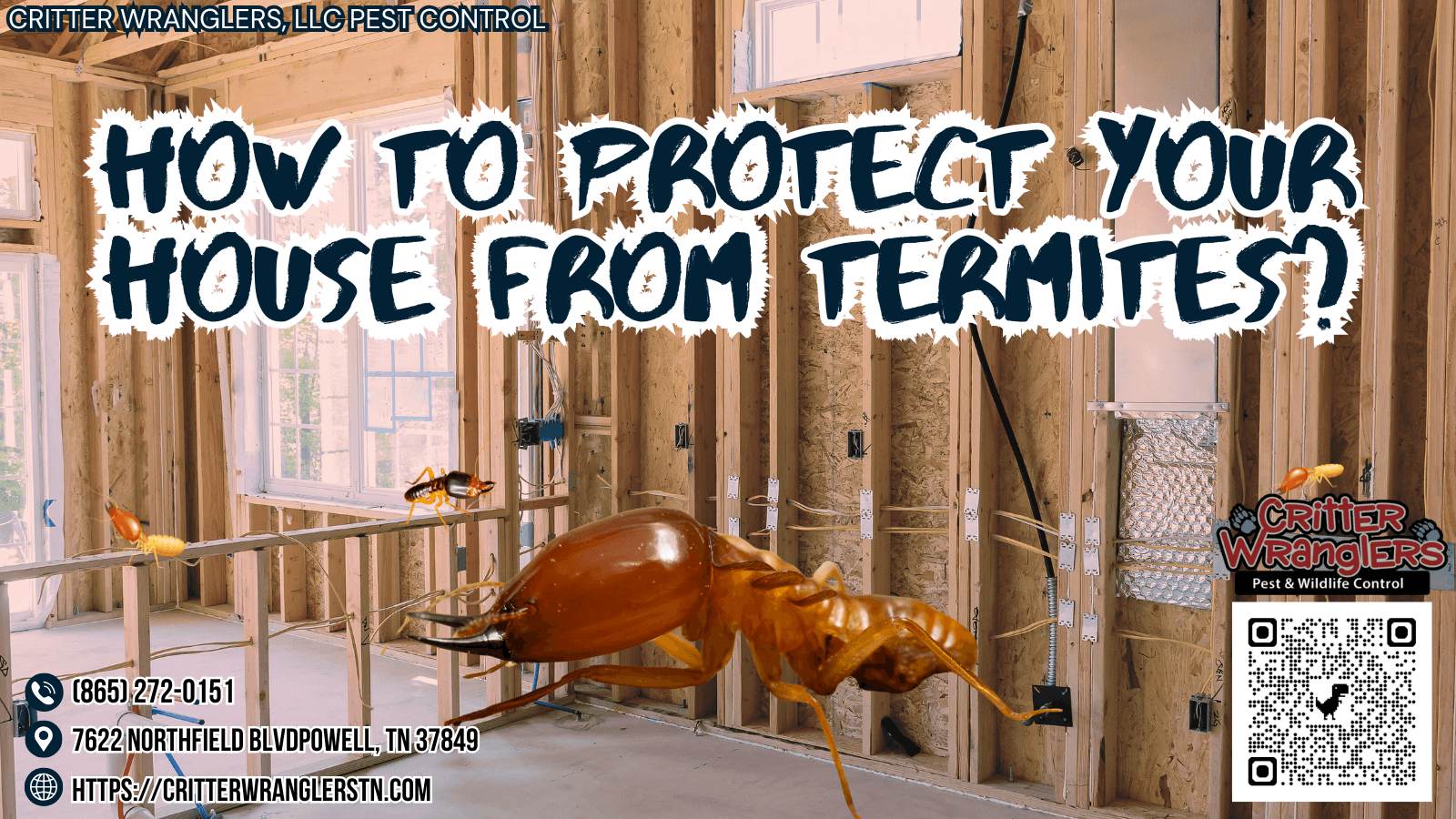 How To Protect Your House From Termites