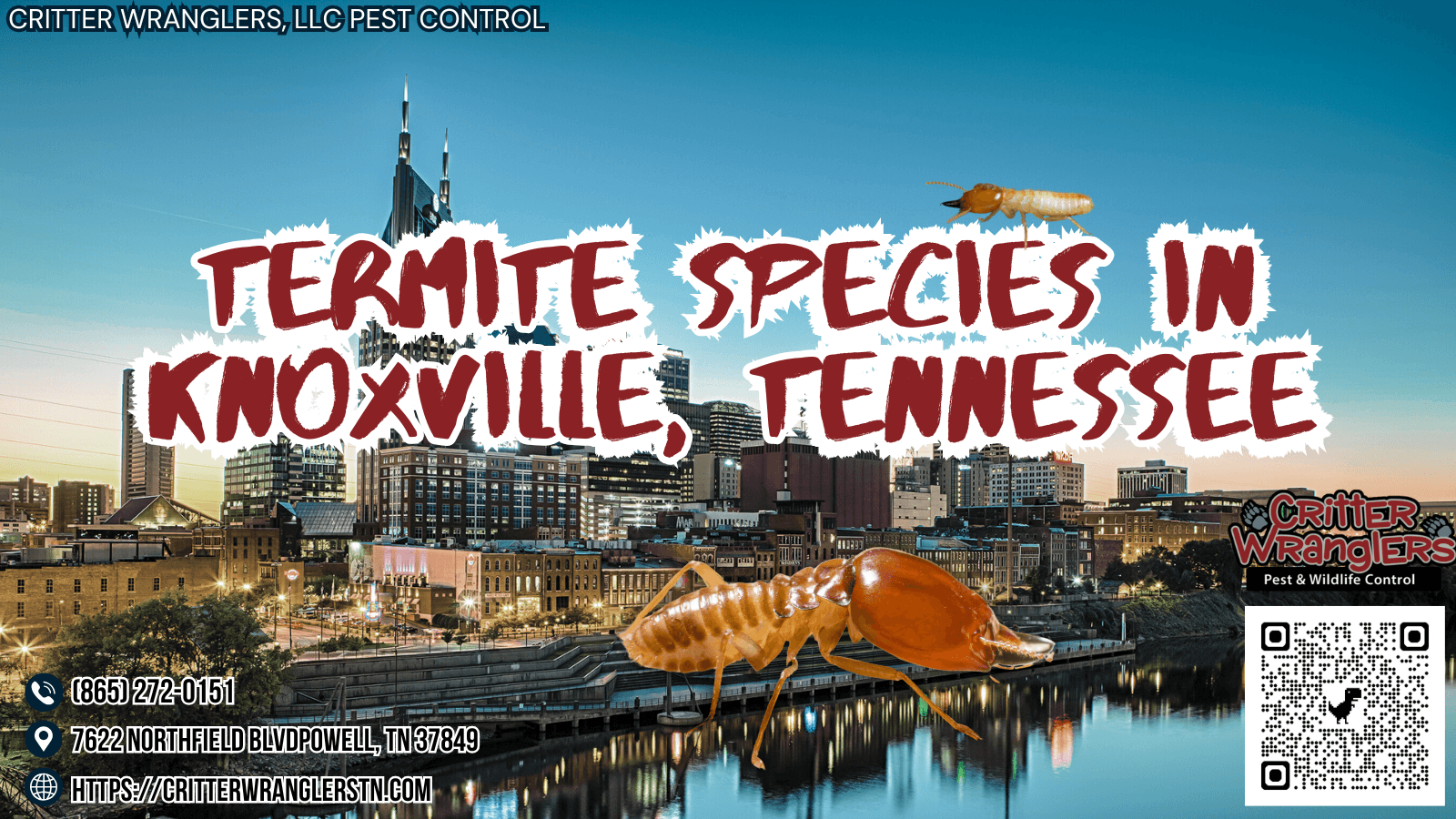 Termite Species In Knoxville, Tennessee