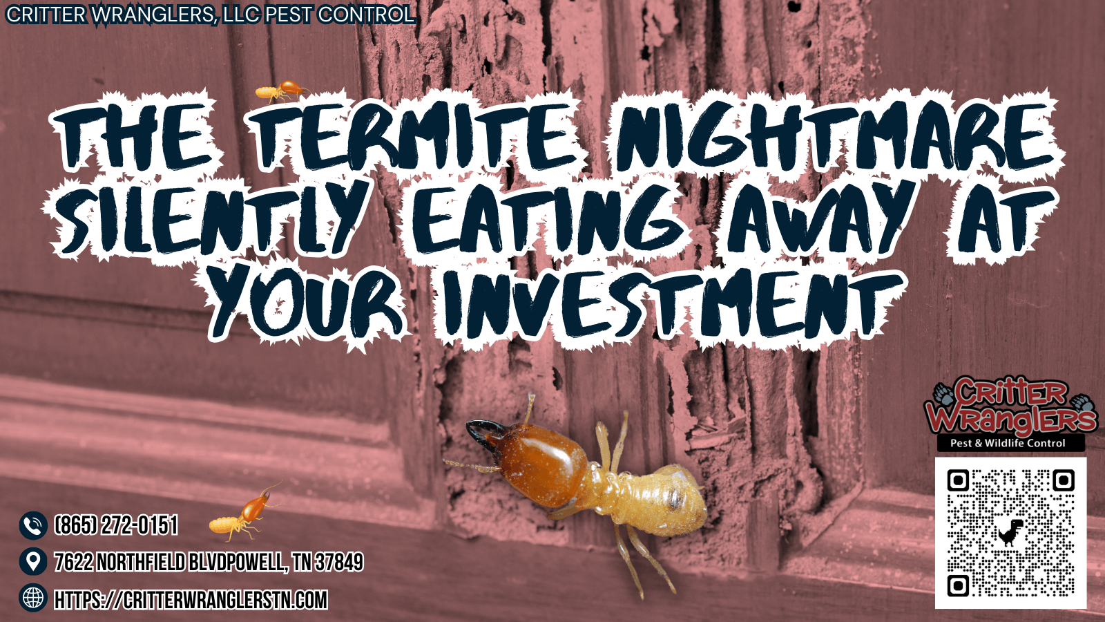 The Termite Nightmare Silently Eating Away At Your Investment