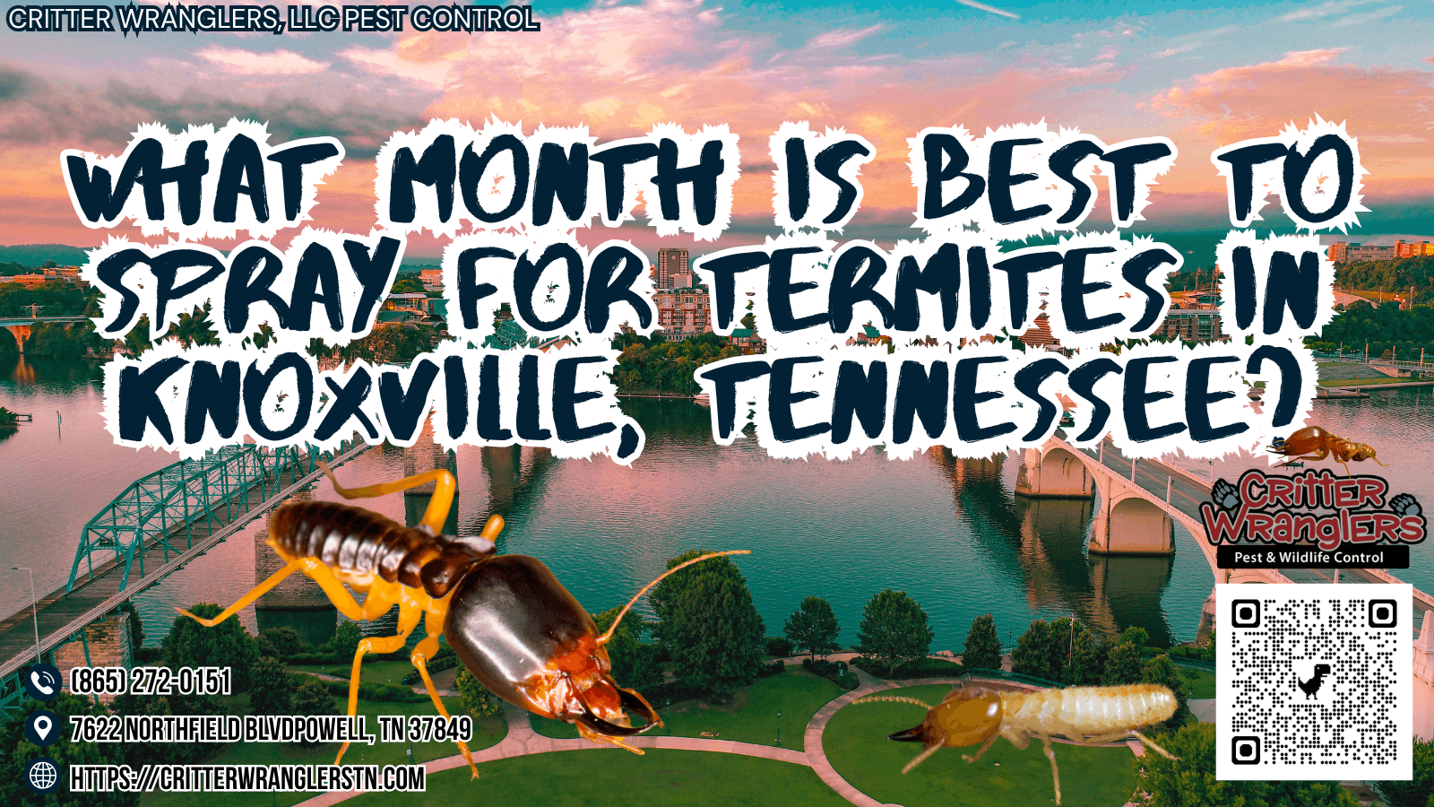 What Month Is Best To Spray For Termites In Knoxville, Tennessee