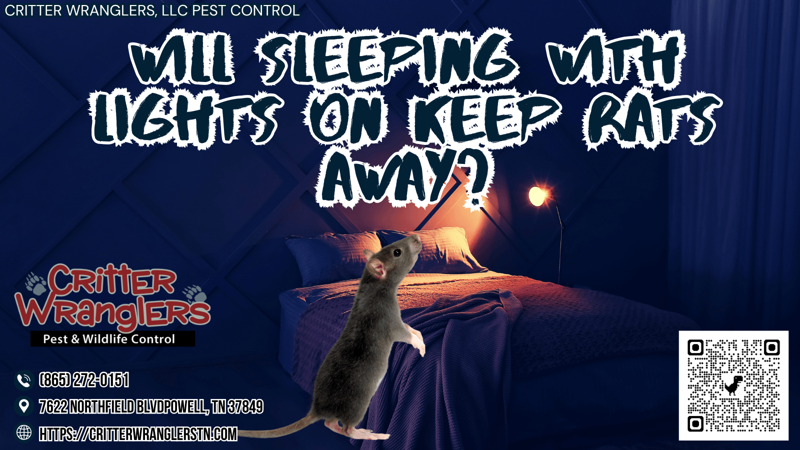 Will Sleeping With Lights On Keep Rats Away