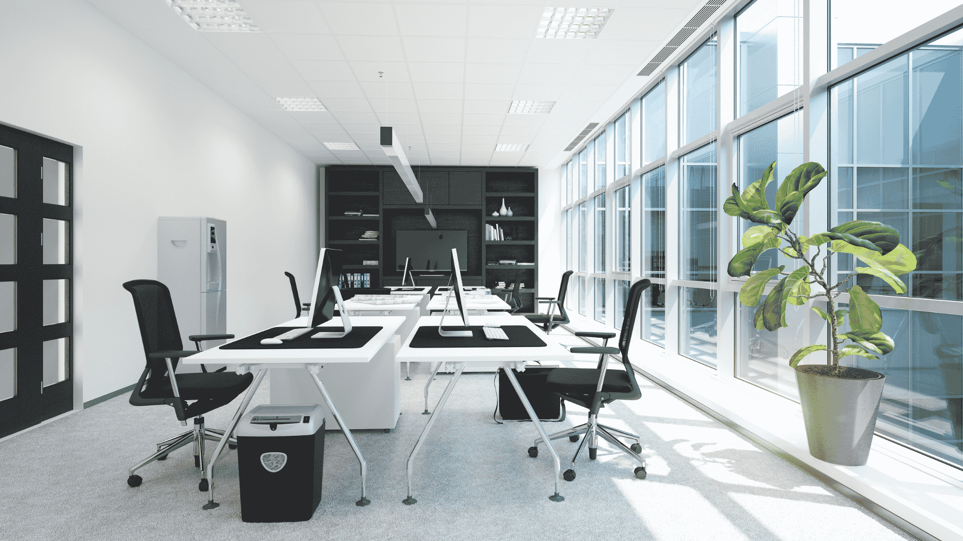 Commercial Pest Control in Farragut, TN