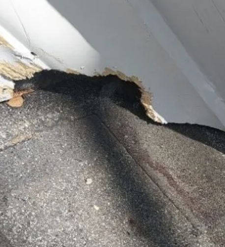 rodent-roof-damage image Rodent control inspection in a Knoxville, TN home