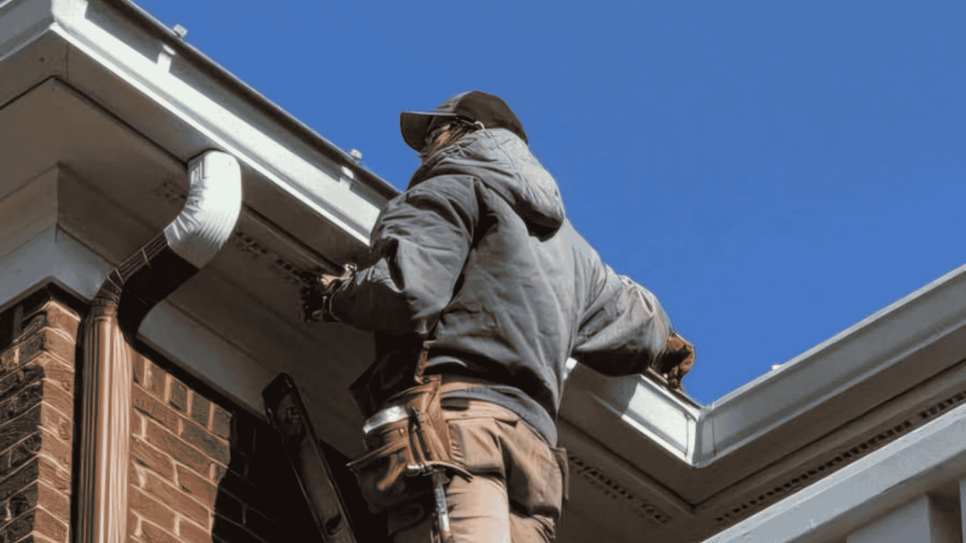 Squirrels in the Attic: A Knoxville Homeowner