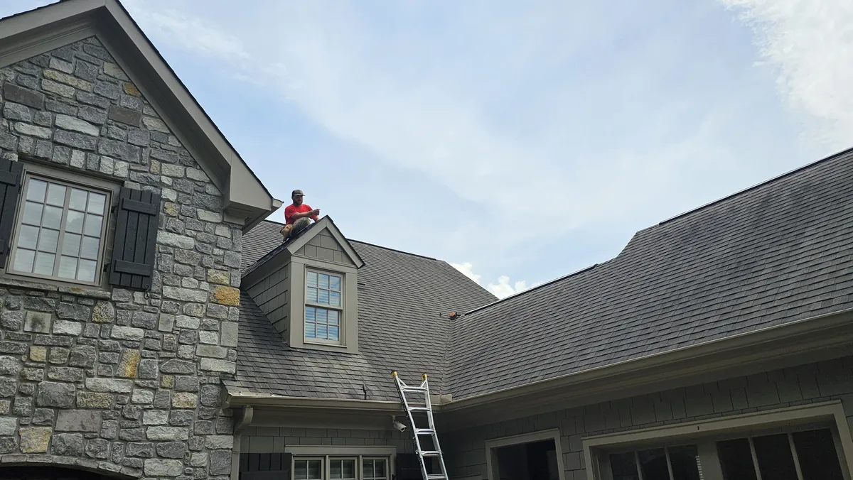 Wildlife removal technician on a job