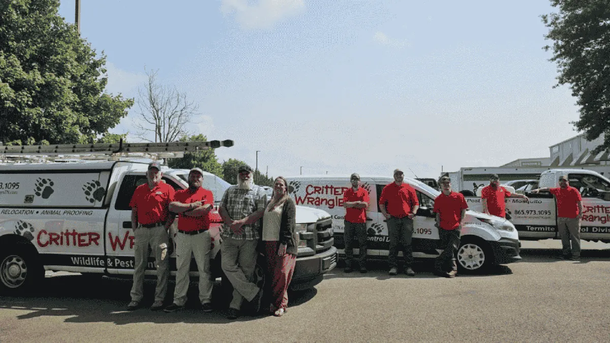 How to Choose a Pest Control Company in Knoxville