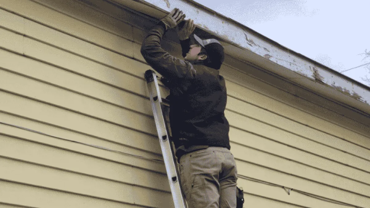 Winter Pests in Knoxville: The Truth About Cold Weather