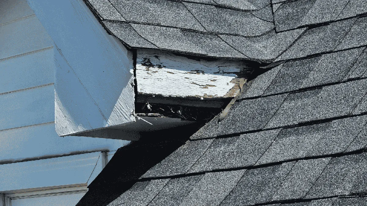 Pest Control & Wildlife Removal in Holston Hills, TN