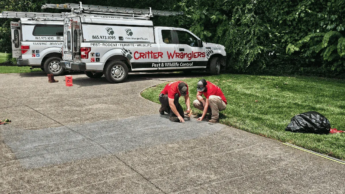 Pest Control & Wildlife Removal in Concord, TN