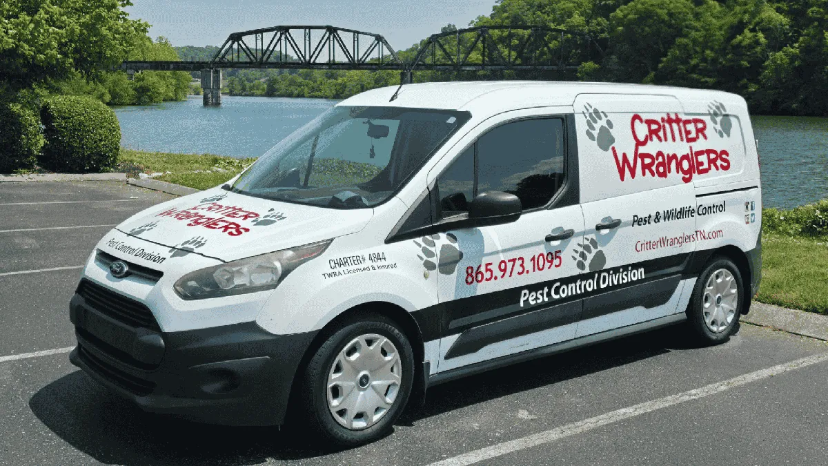 Pest Control & Wildlife Removal in Oliver Springs, TN