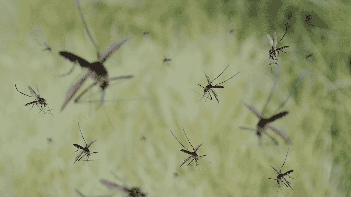 Pest Control & Wildlife Removal in Hardin Valley, TN