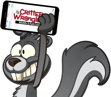 Illustrated squirrel graphic