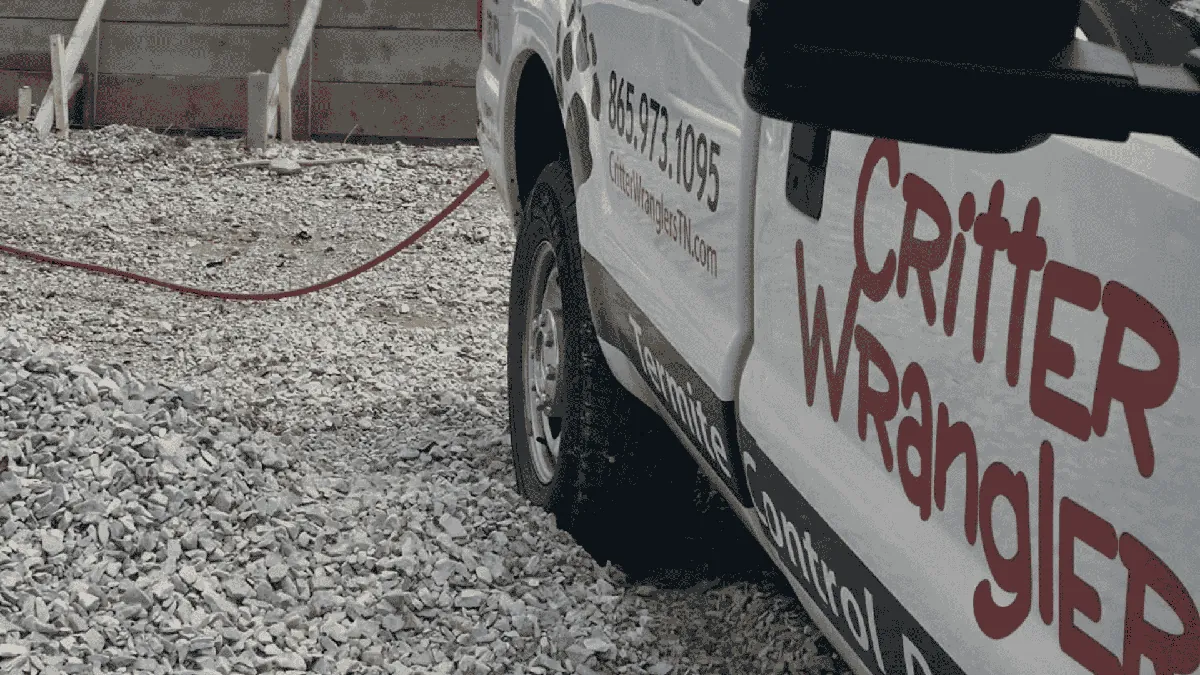 Termite Control in Powell, TN