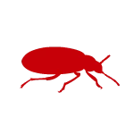 Bed Bug icon