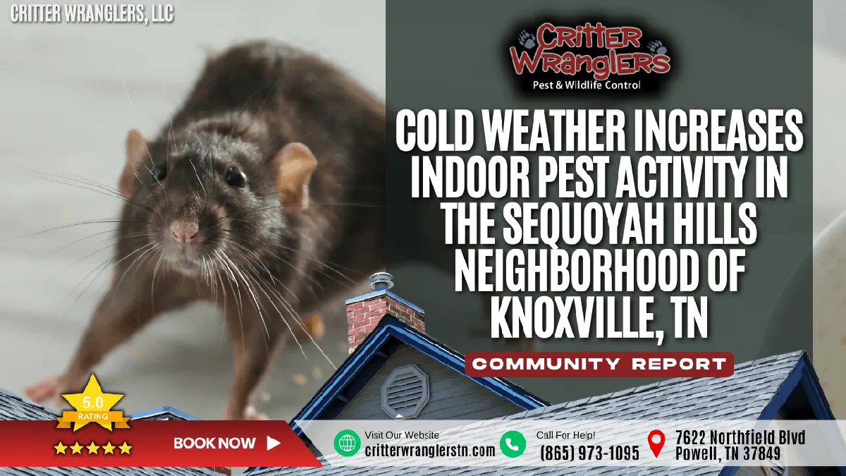 Cold Weather Increases Indoor Pest Activity in the Sequoyah Hills Neighborhood of Knoxville, TN