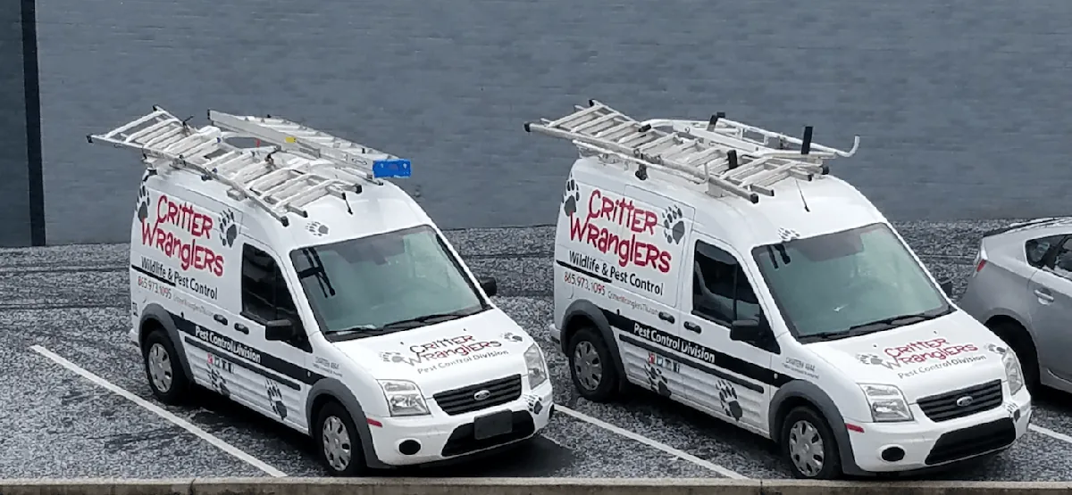 Critter Wranglers - Pest Control