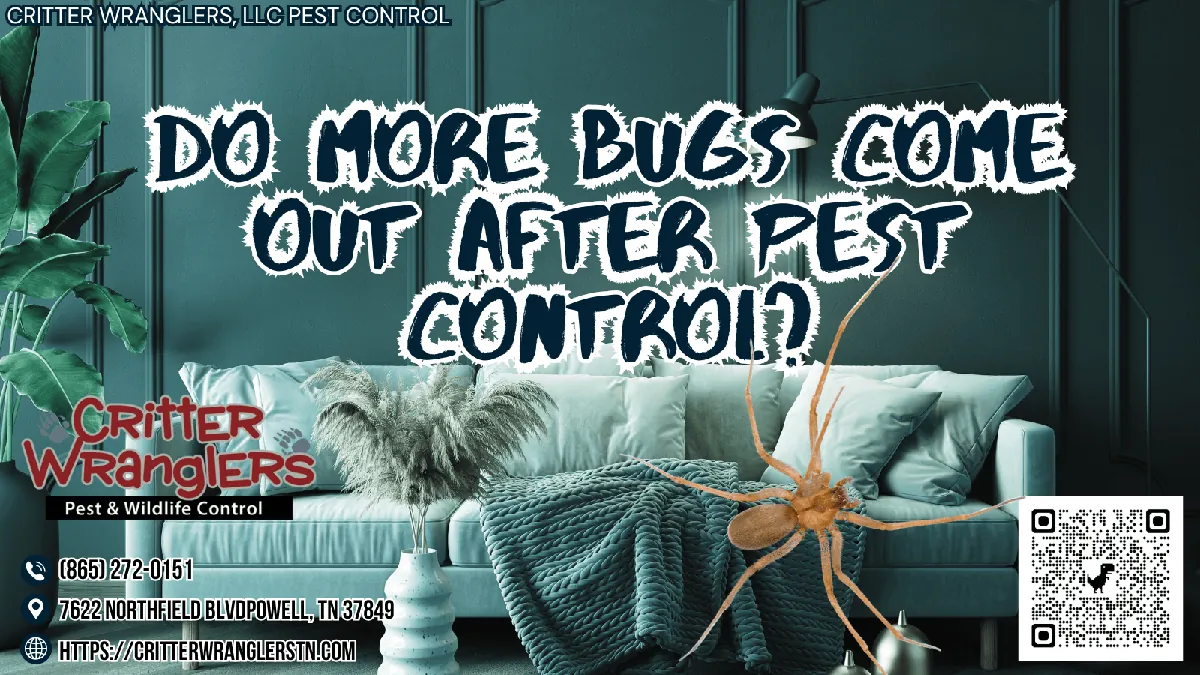 Do More Bugs Come Out After Pest Control