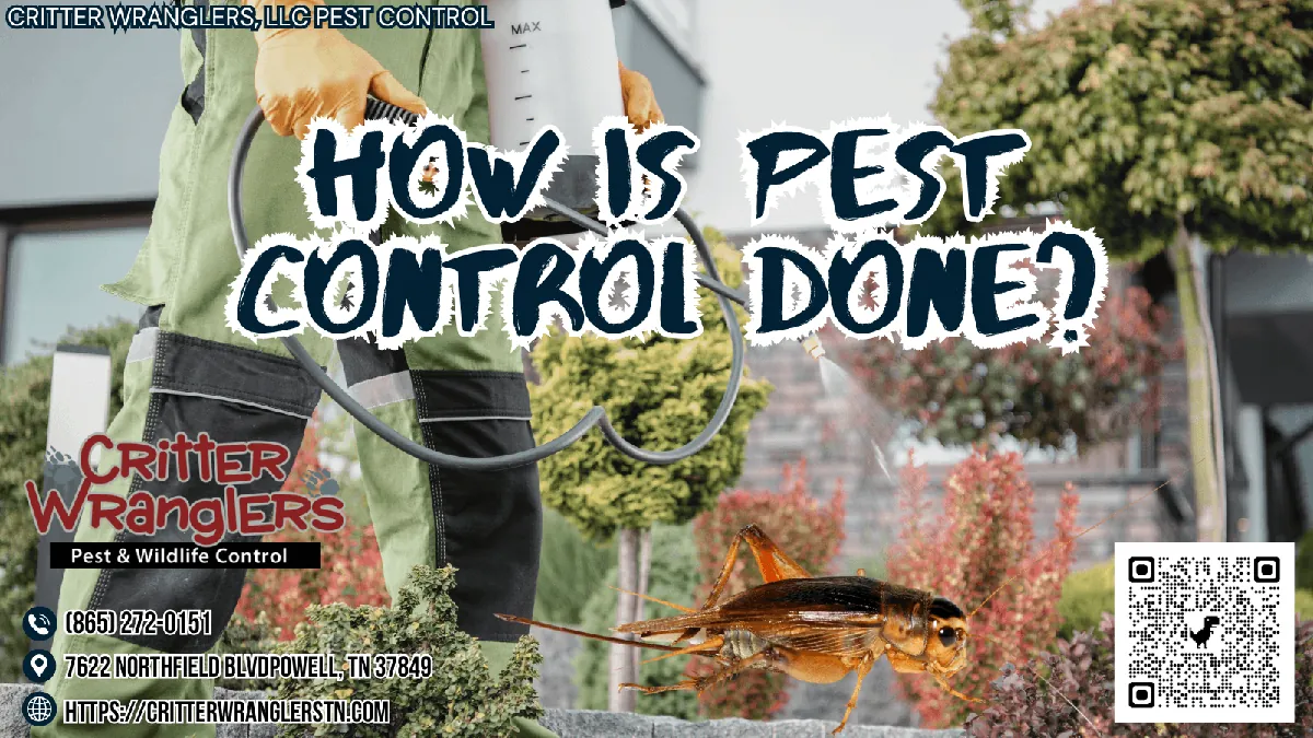 How Is Pest Control Done