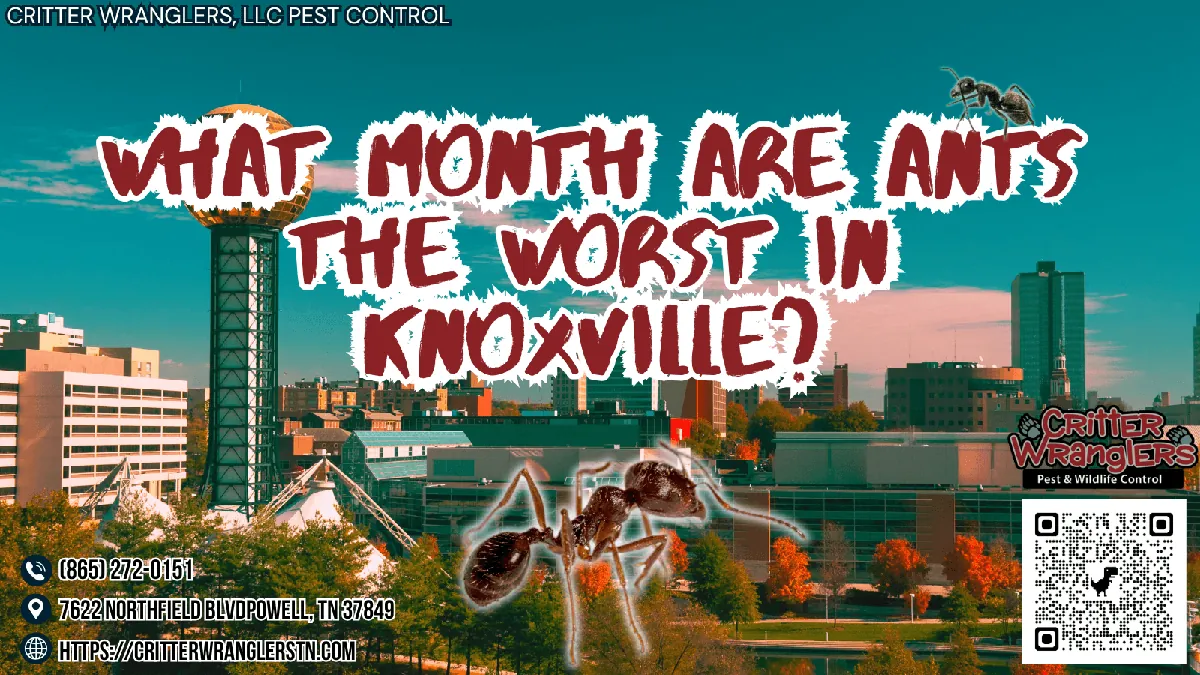 What Month Are Ants the Worst in Knoxville