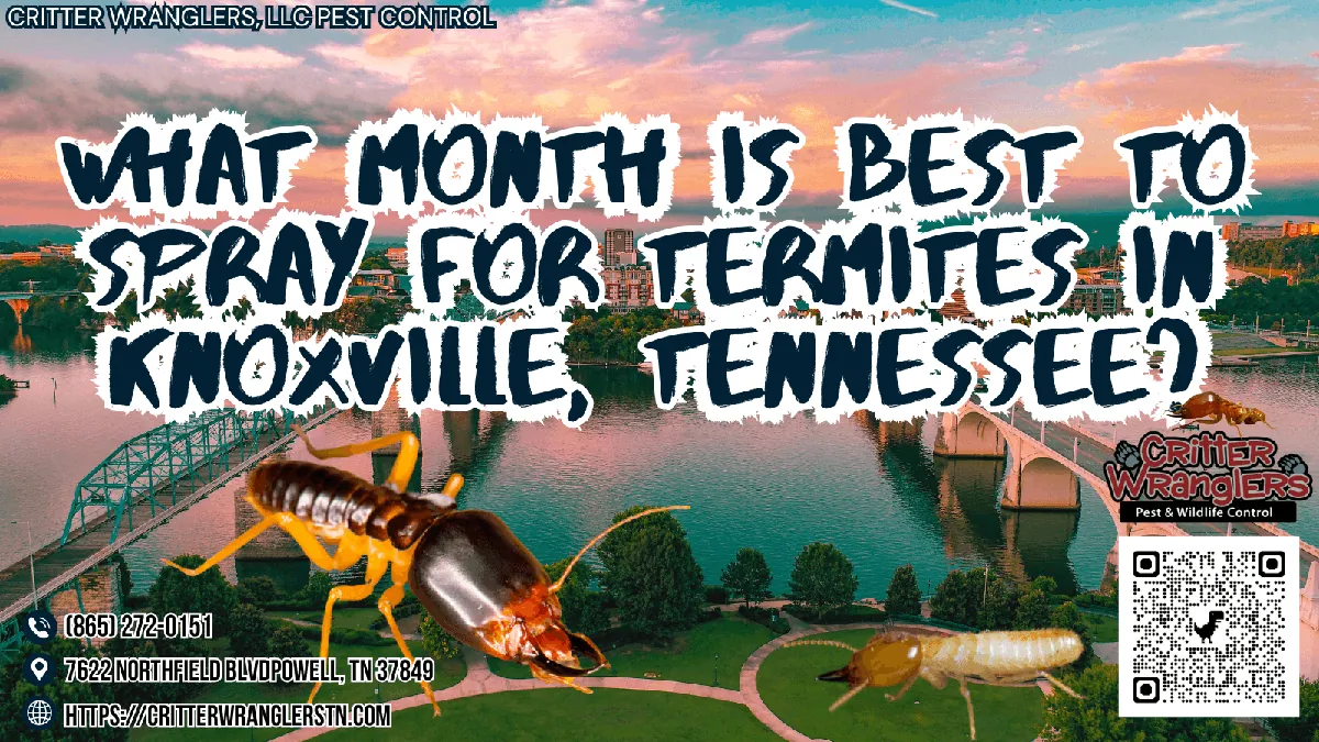 What Month Is Best To Spray For Termites In Knoxville, Tennessee
