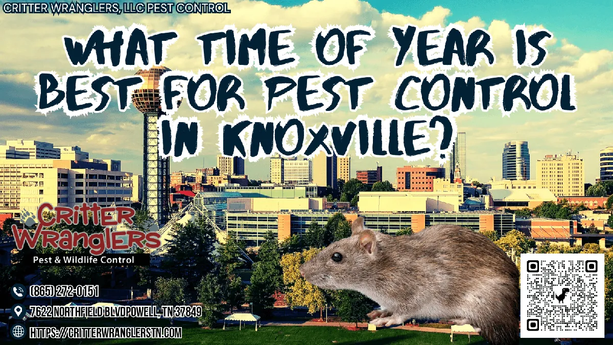 What Time Of Year Is Best For Pest Control In Knoxville