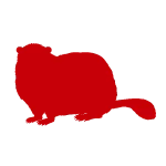 Groundhog