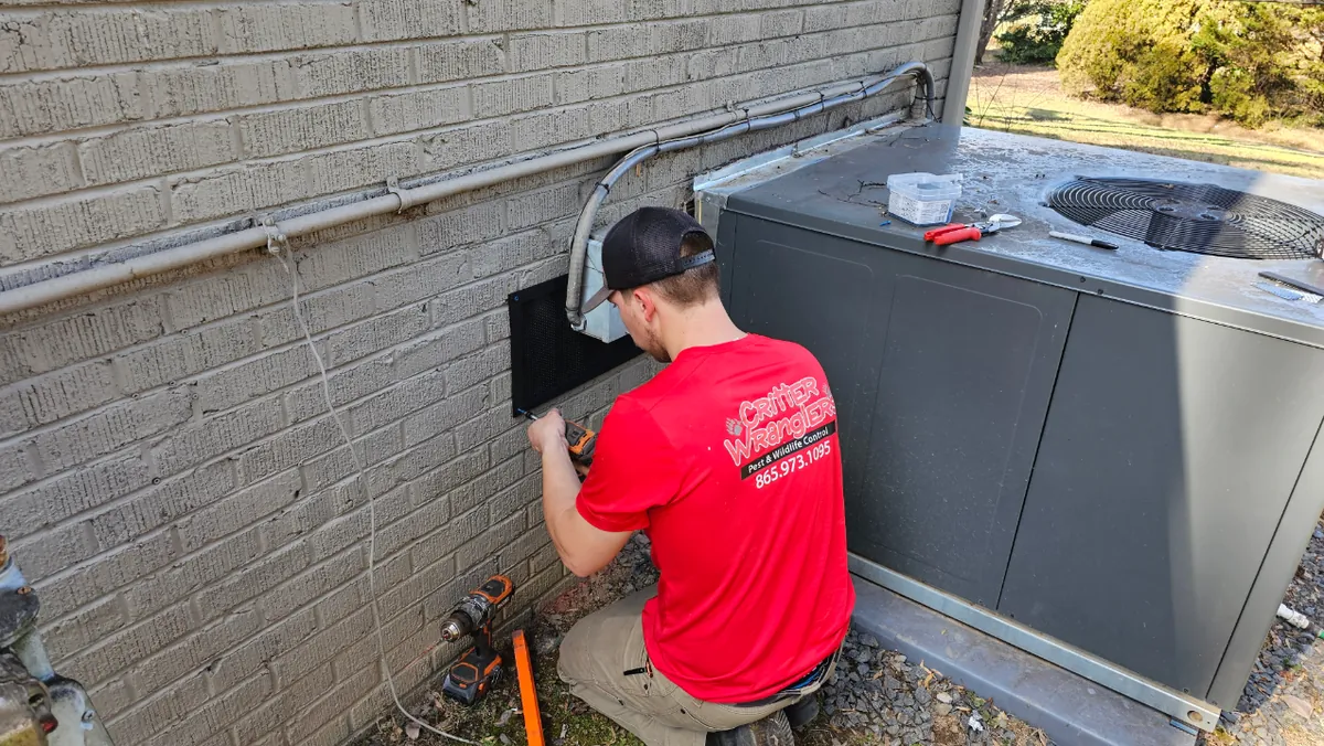 Pest Blok exclusion barrier at a home