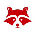 Raccoon