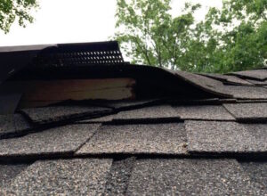 professional animal damage repair
