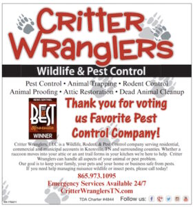 knoxville best pest control company