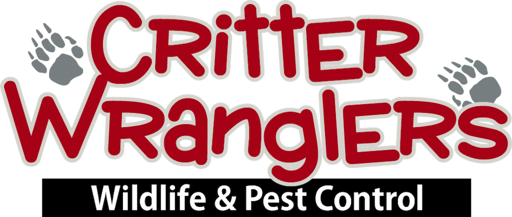 Critter-Wranglers-Knoxville-TN-1024x434