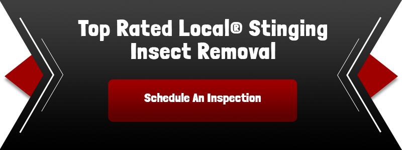 Schedule An Inspection Now!