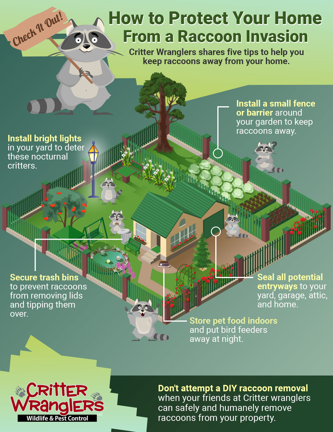 Infographic-How-to-Protect-Your-Home-from-a-Raccoon-Invasion3-5e8e259910534
