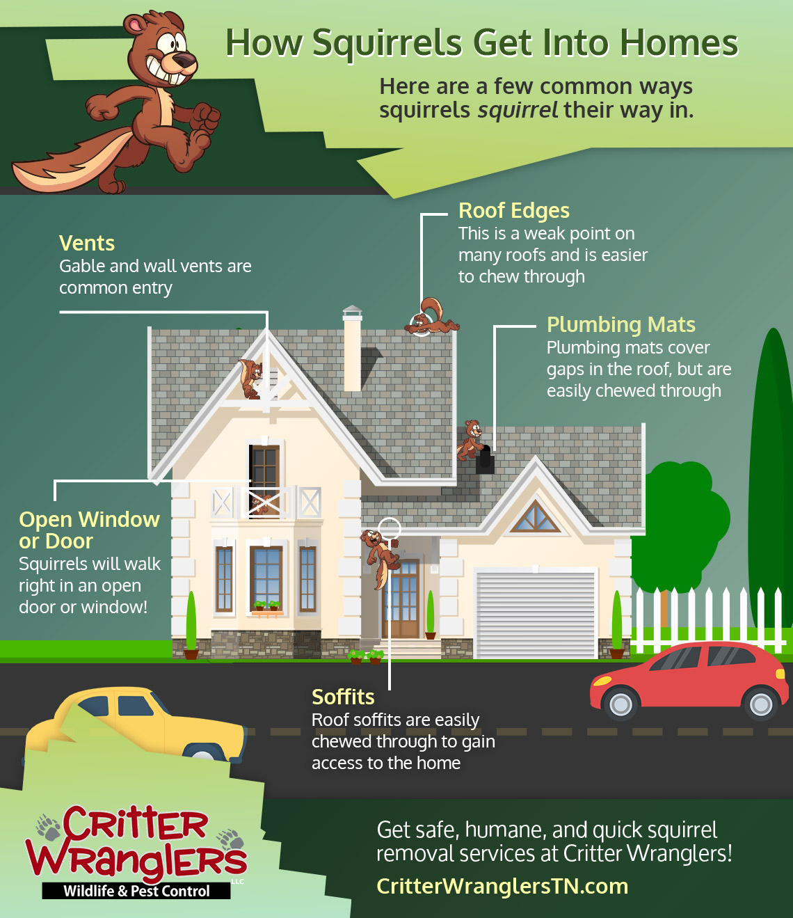 How Squirrels Get Into Homes Infographic