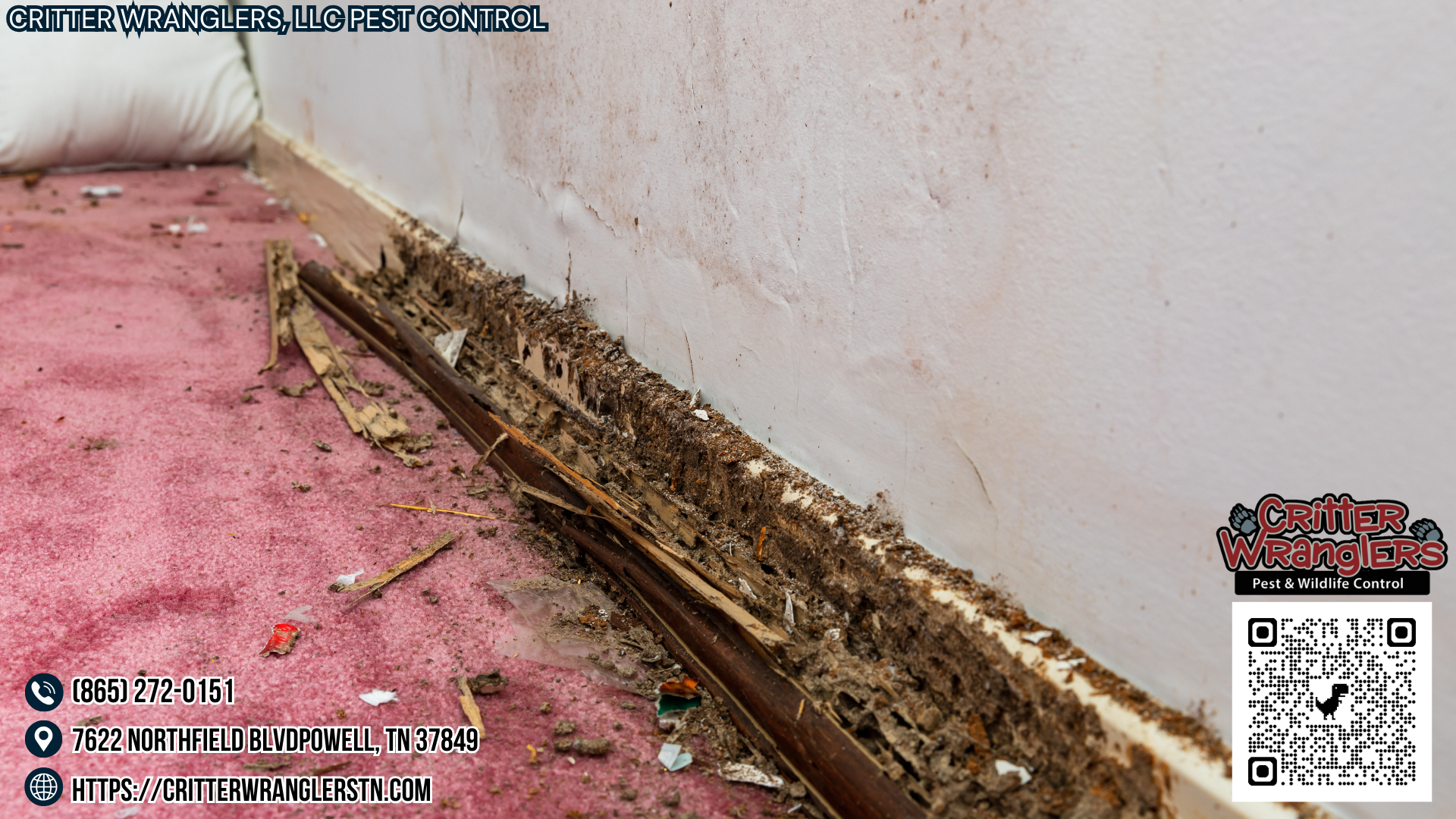 Risk Factors for Termite Infestations