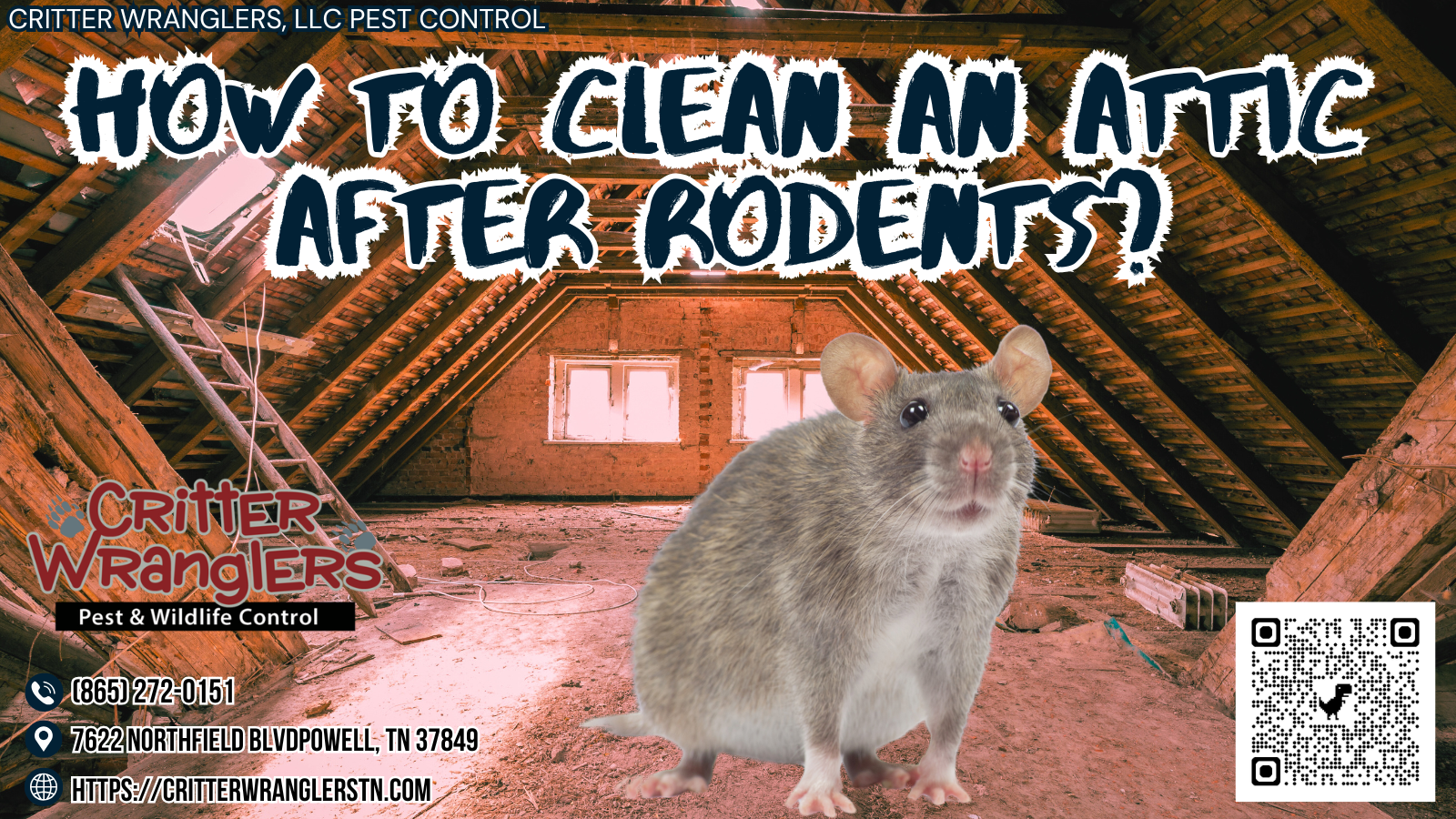 How To Clean An Attic After Rodents How to Clean an Attic After Rodents?