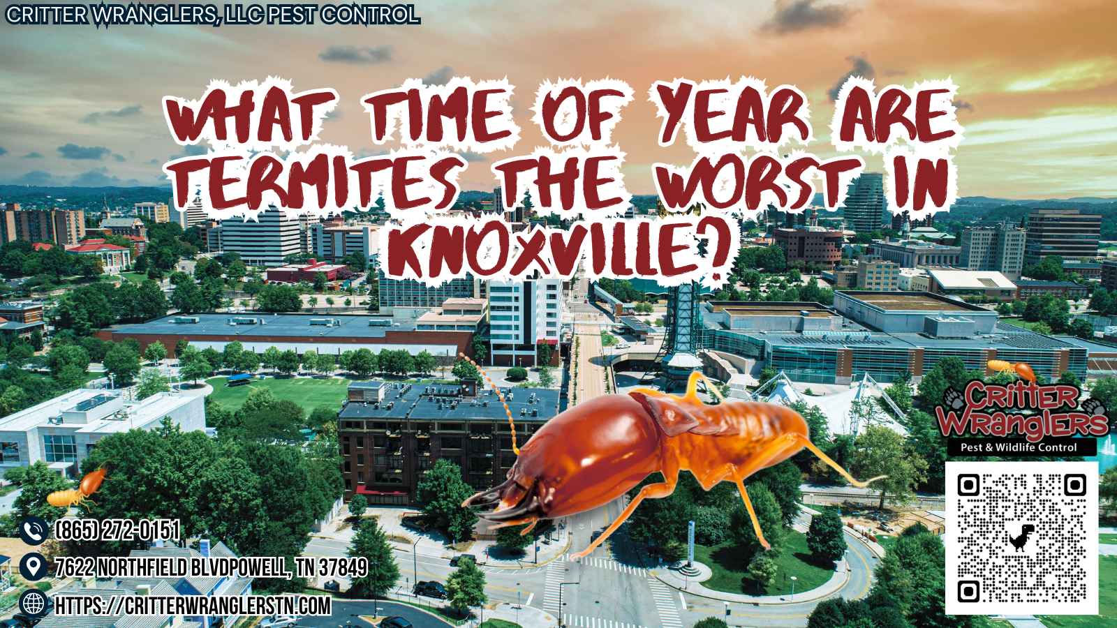 What Time of Year Are Termites the Worst in Knoxville What Time of Year Are Termites the Worst in Knoxville